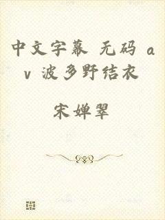 中文字幕 无码 av 波多野结衣